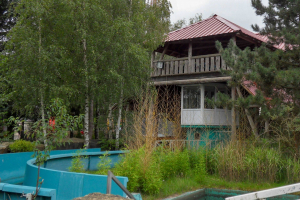 Kongo River • Van Edgom Wave Rider