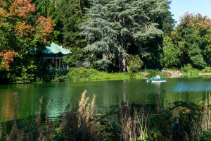Golden Gate Park