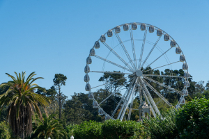 Golden Gate Park