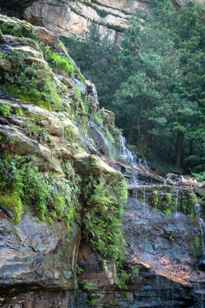 Blue Mountains