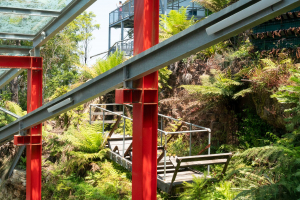 Scenic Railway • Interlink Funicular