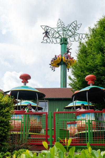 Verrückte Palme