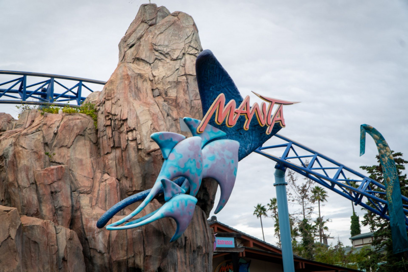 Manta