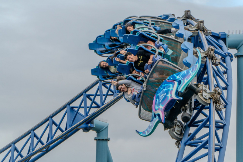 Manta
