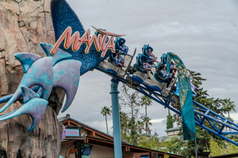 Manta