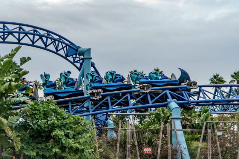 Manta