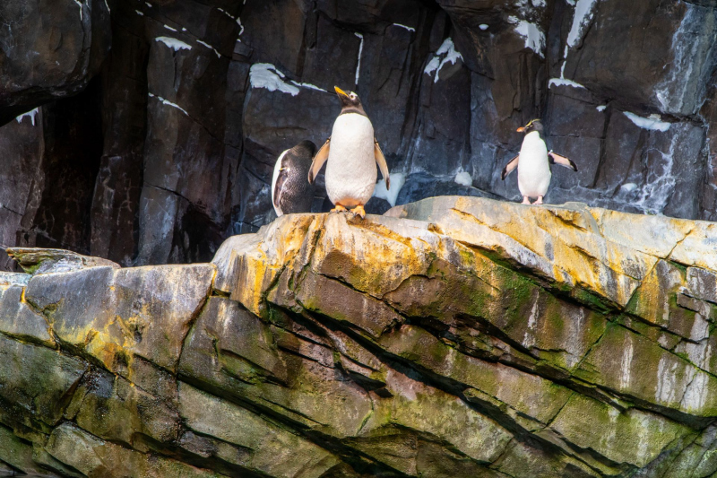 SeaWorld Orlando