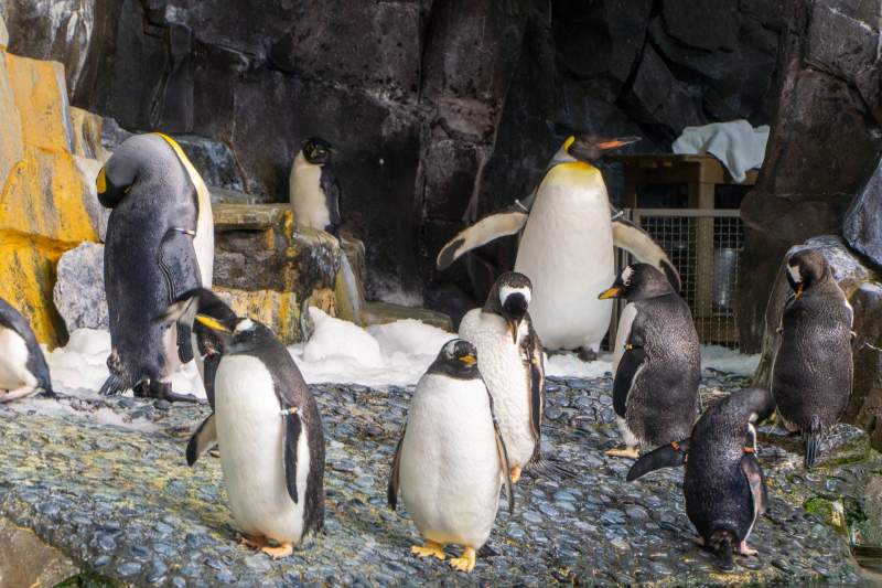 SeaWorld Orlando