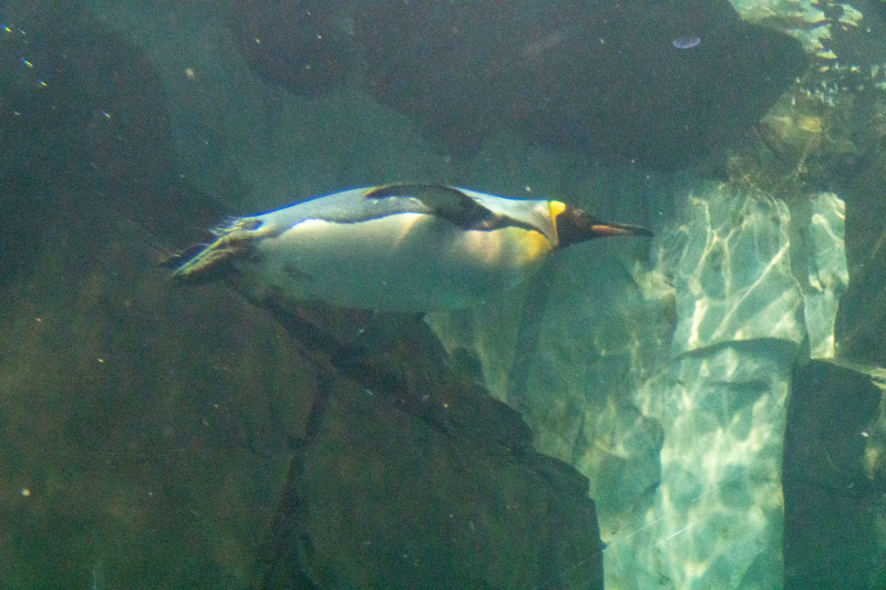 SeaWorld Orlando