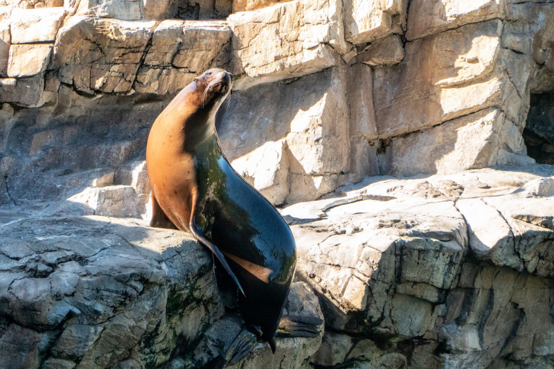 SeaWorld Orlando