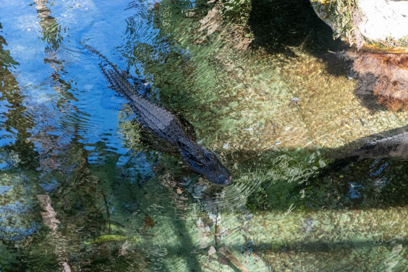 SeaWorld Orlando