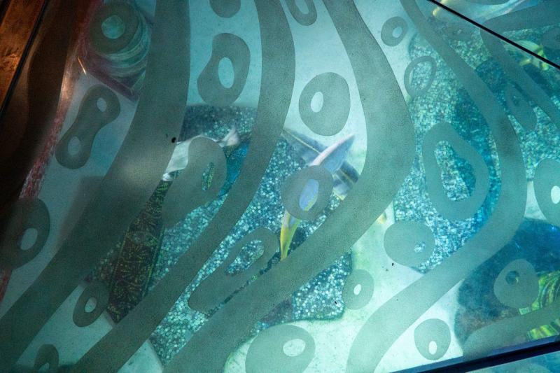 SeaWorld Orlando