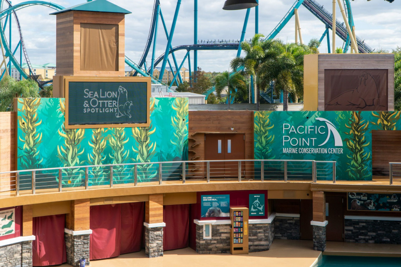 Sea Lion & Otter Spotlight
