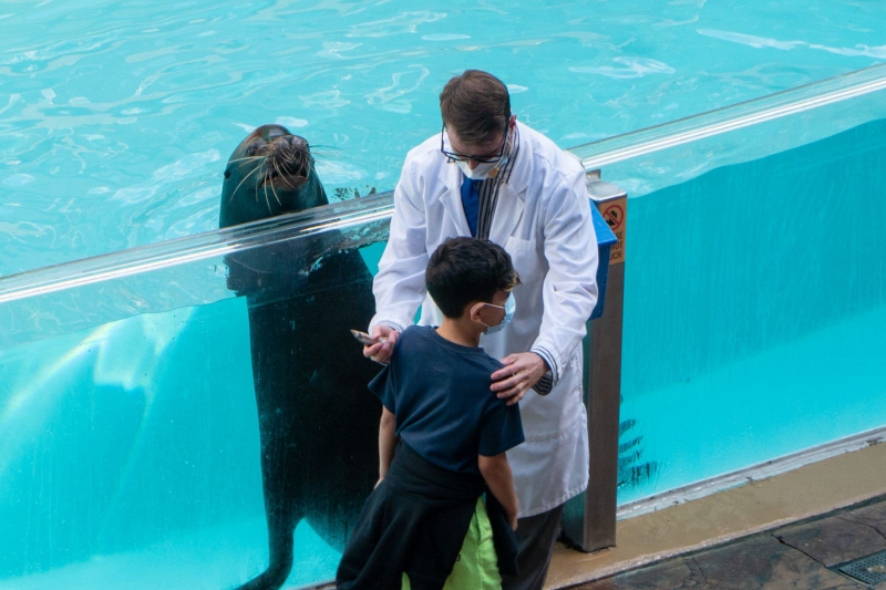 Sea Lion & Otter Spotlight