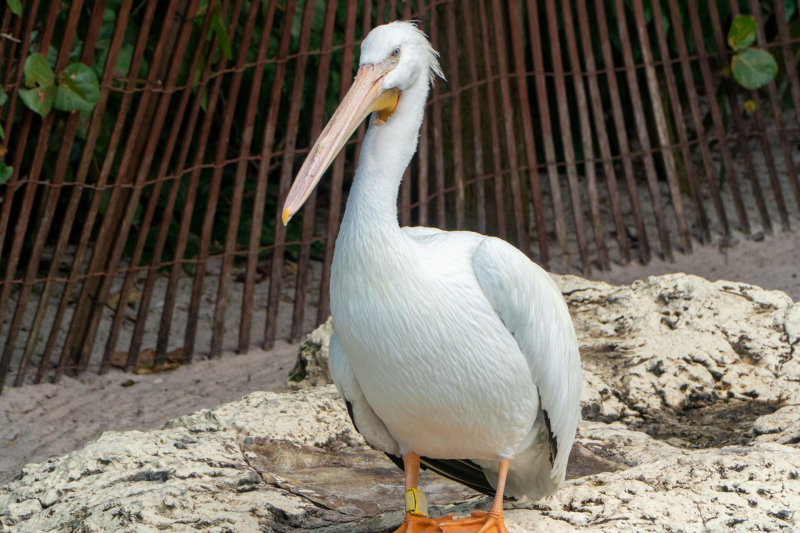 SeaWorld Orlando