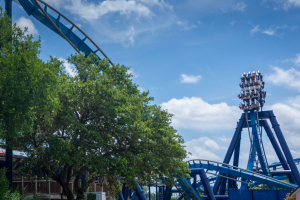 Great White • B&M Inverted Coaster