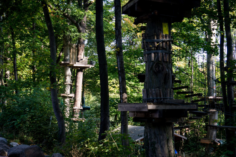 High Ropes Course / Hochseilgarten