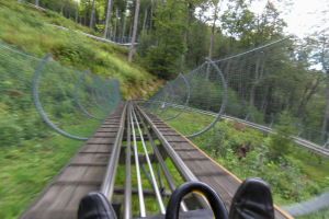 Harzbob • Wiegand Alpine Coaster