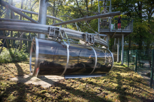 Hexenbesen • Wiegand Hexenbesen