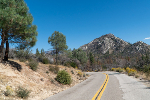 Sequoia National Forest
