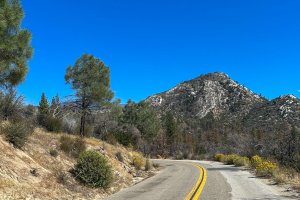 Sequoia National Forest