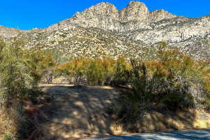 Sequoia National Forest