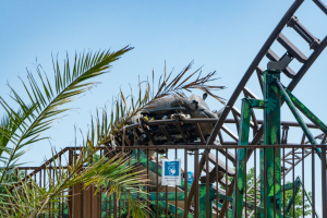 Batukai Racer • Technical Park Gold Mine Coaster