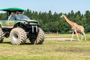 Serengeti Safari • Drive-Thru Safari