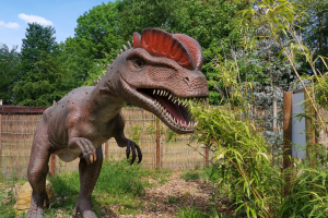 Jurassic Safari