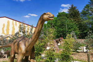Jurassic Safari