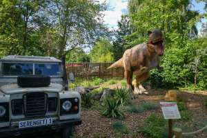 Jurassic Safari