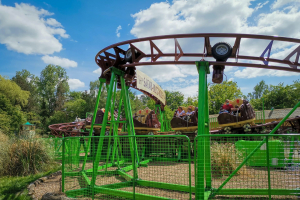 Safari Blitz Kids • SBF Visa Spinning Coaster