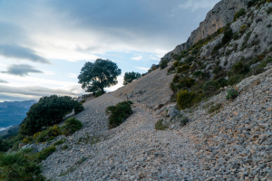 Hiking at the Sierra Bernia