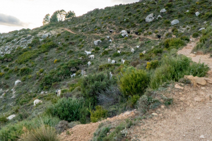 Hiking at the Sierra Bernia