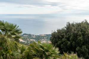 Hiking at the Sierra Bernia