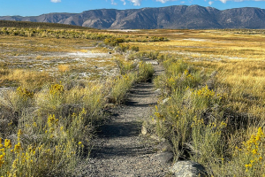 Sierra Nevada