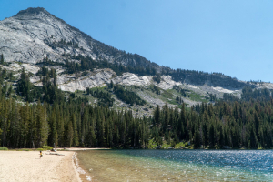 Yosemite National Park