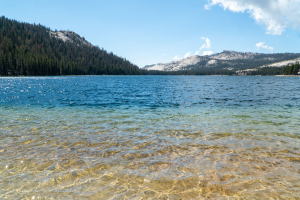 Yosemite National Park