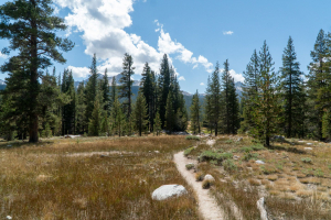 Yosemite National Park