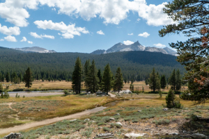 Yosemite National Park