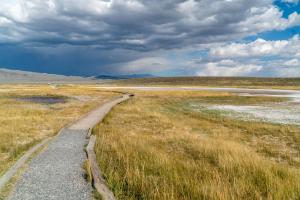 Wild Willy's Hot Spring