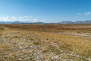 Wild Willy's Hot Spring