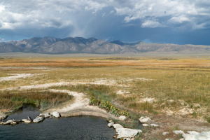 Wild Willy's Hot Spring