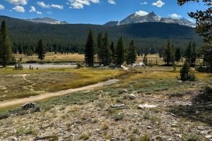 Yosemite National Park