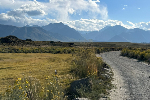 Sierra Nevada