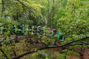 Thunderation • Arrow Mine Train