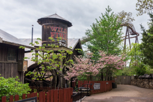 Wildfire • B&M Sitting Coaster