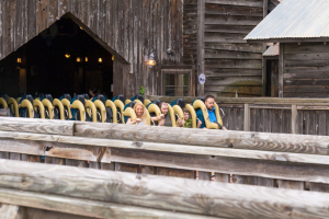 Wildfire • B&M Sitting Coaster