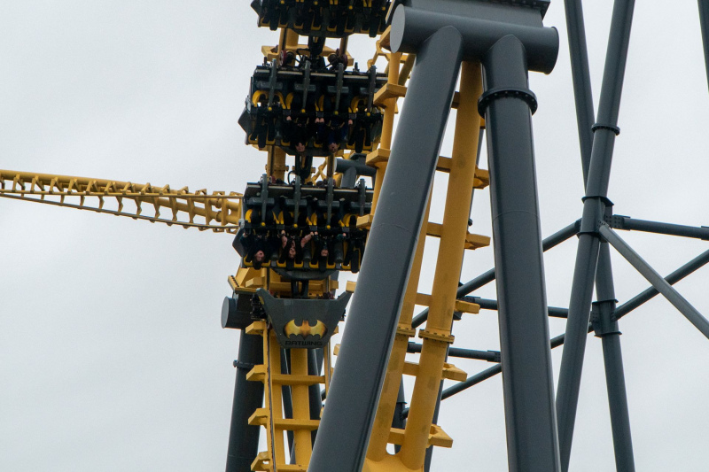 Batwing