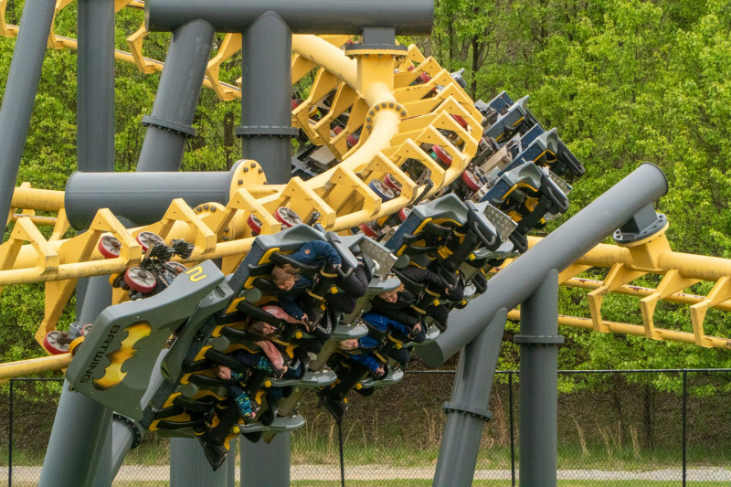 Batwing